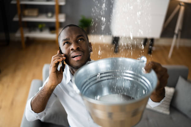 Best Flood damage cleanup  in Pine Mountain, GA