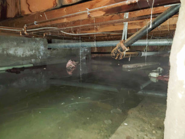 Best Water damage restoration near me  in Pine Mountain, GA