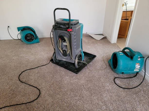 Best Water damage restoration near me  in Pine Mountain, GA