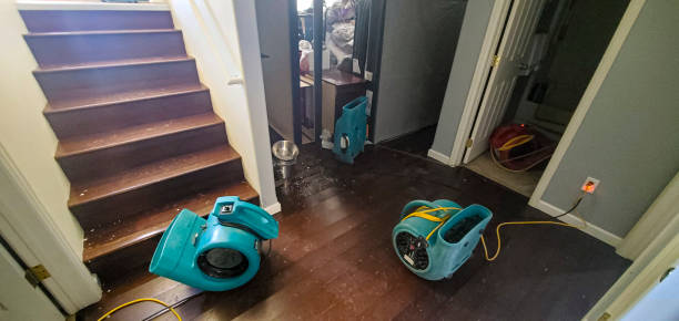 Best Water damage restoration company  in Pine Mountain, GA