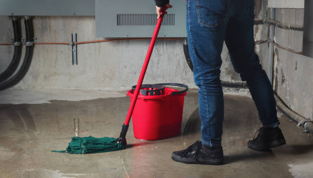 Best Basement water damage restoration  in Pine Mountain, GA