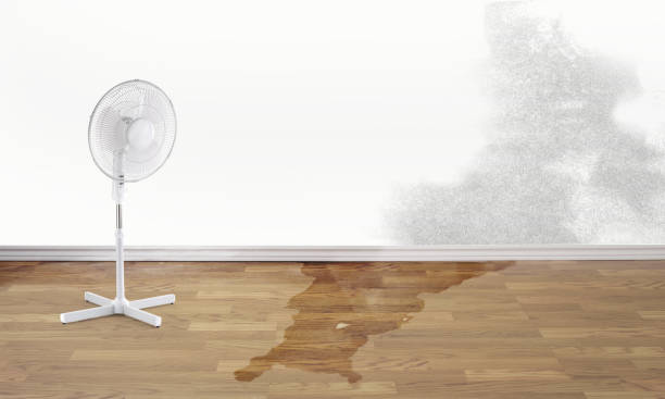 Best Sewage cleanup and water damage restoration  in Pine Mountain, GA