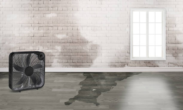 Trusted Pine Mountain, GA Water damage restoration Experts