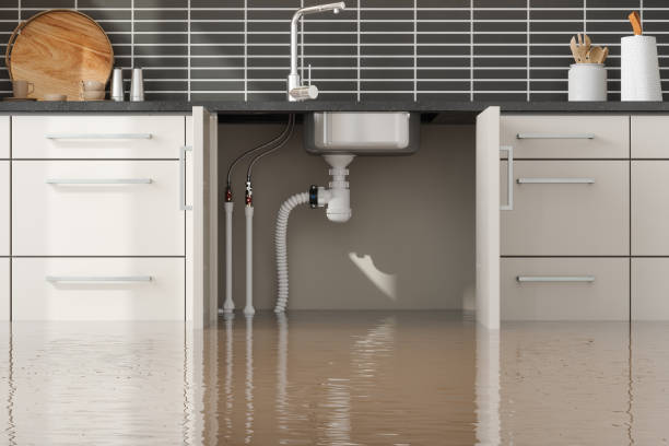 Best 24/7 water damage repair  in Pine Mountain, GA