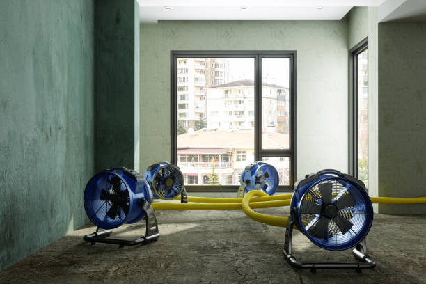 Best Mold removal after water damage  in Pine Mountain, GA