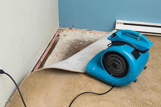 Carpet water damage restoration in Pine Mountain, GA